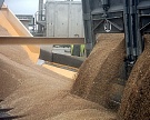 В сентябре вывоз зерна впервые превысил 5 млн тонн