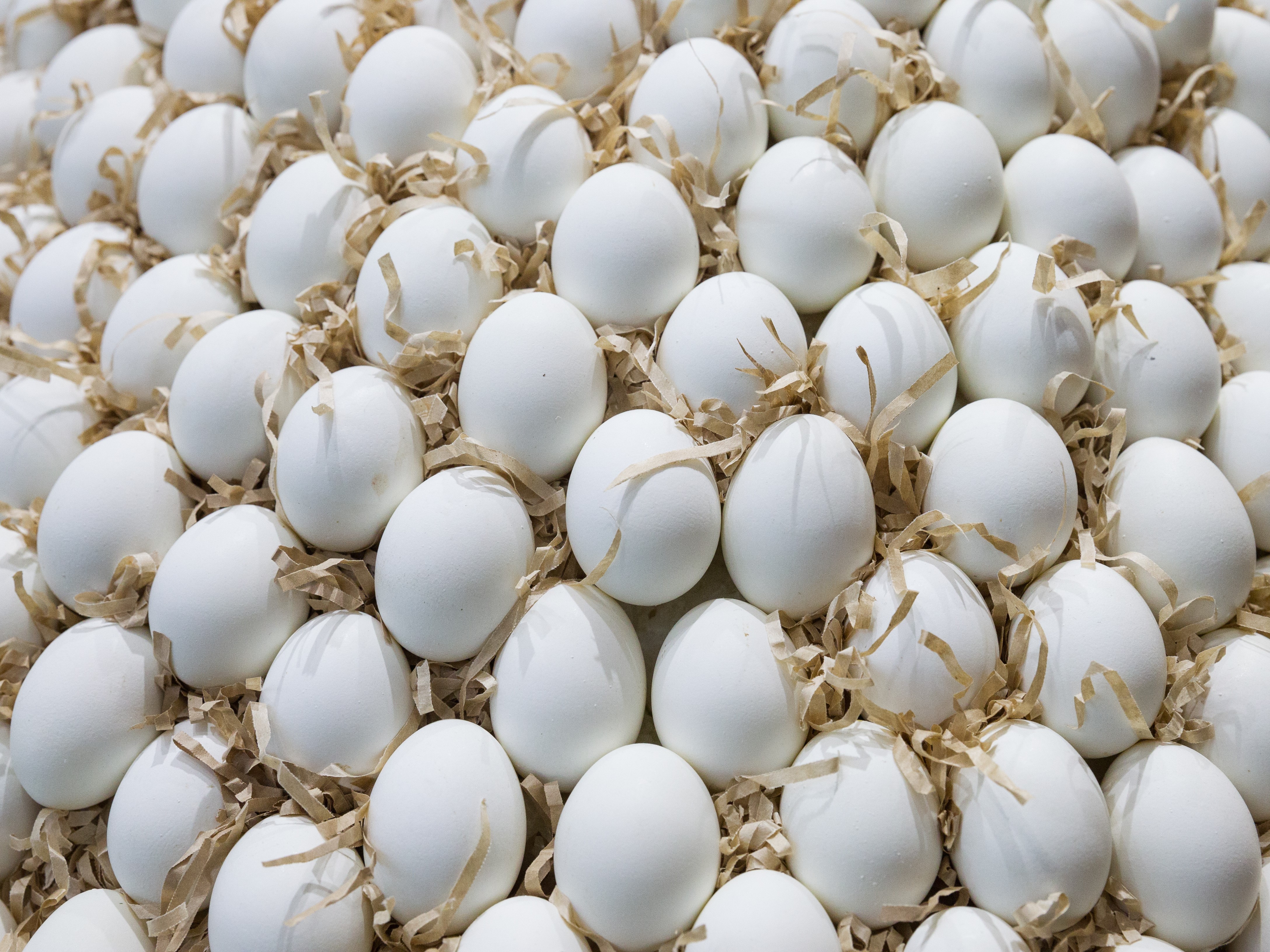 Минсельхоз: цены на яйца и мясо кур остаются стабильными