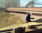 Египет опередил Турцию по объемам закупок российского зерна