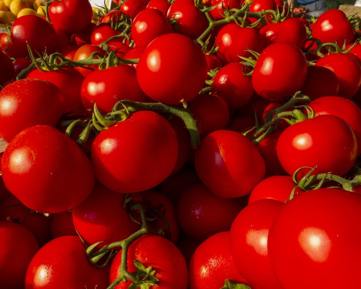 Минсельхоз на полгода обнулит ввозную пошлину на томаты