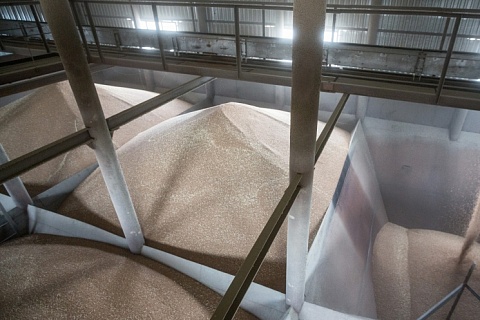 ВТБ может продать долю в объединенном зерновом холдинге