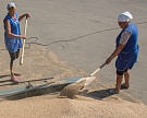 Сезонный рост предложения зерна негативно влияет на мировые цены