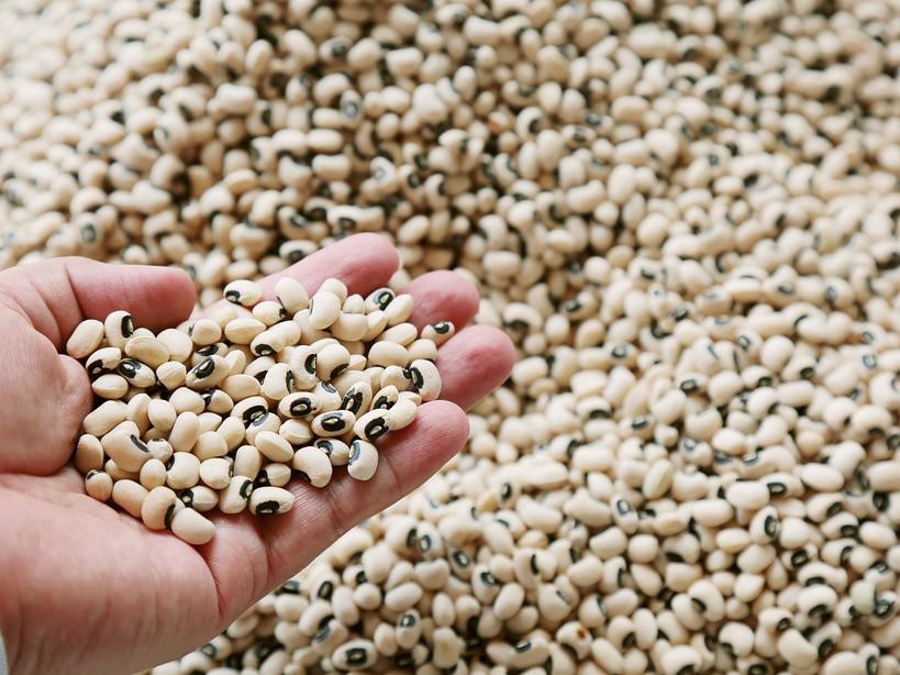 Россия снизила закупки импортных семян почти на треть