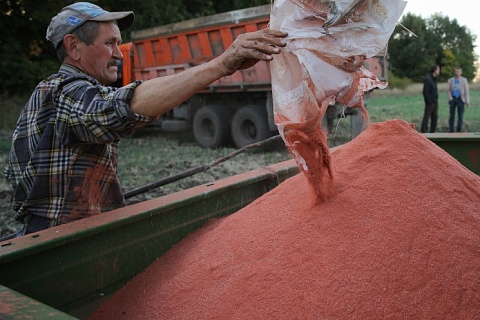 Потребление минеральных удобрений в мире увеличится на 0,8%