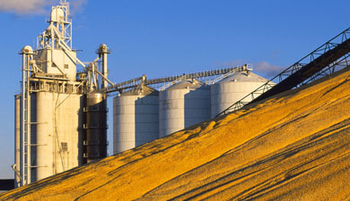 Запасы зерна к концу сезона составят 15 млн т