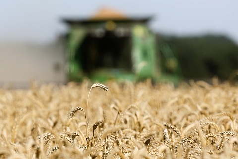 Россия в 2023 году соберет один из рекордных урожаев зерна