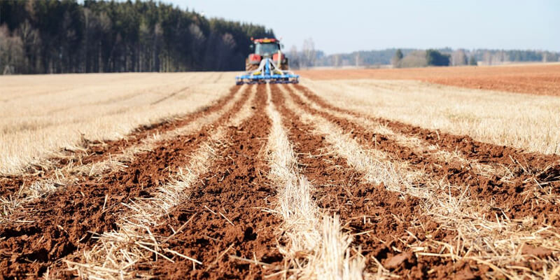 Российские аграрии продолжают осваивать залежные земли