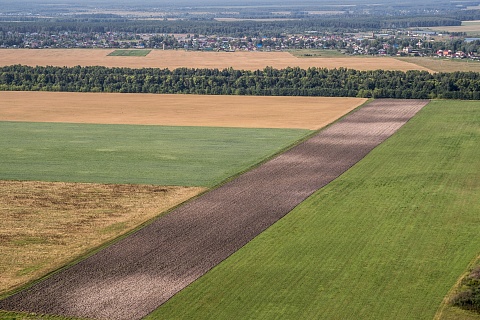 «КДВ Групп» планирует купить более 2 тысяч гектаров земель в Подмосковье