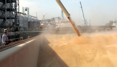 Государство продало 1,3 млн т зерна