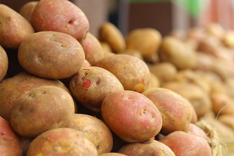 Импорт картофеля в 2021 году вырос на 73%