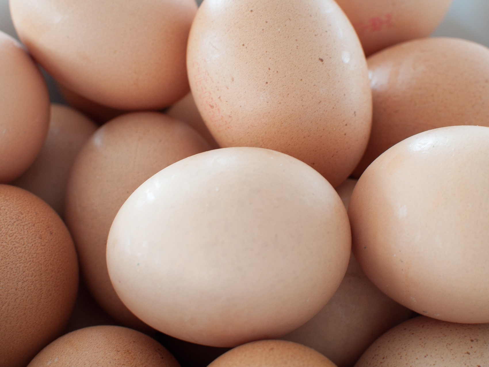 «Таврос» планирует увеличить производство яиц