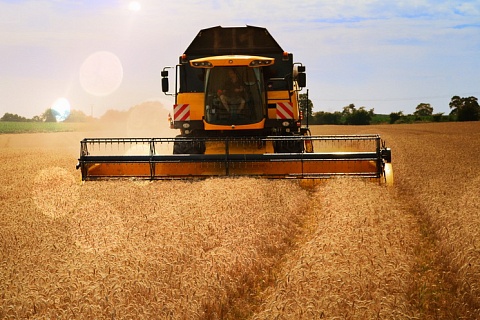 Сельхозпроизводство за десять месяцев увеличилось на 1,9%
