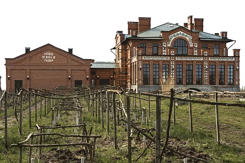 Депутат Дмитрий Саблин стал совладельцем винодельни в долине Дона