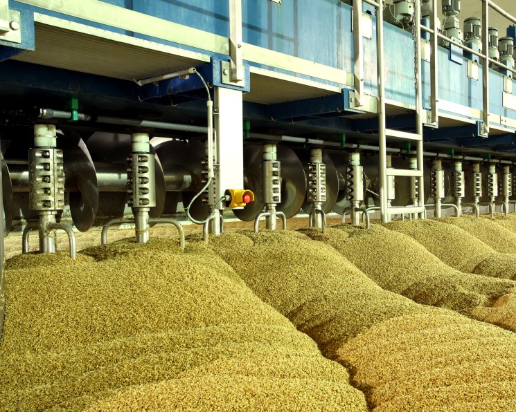 Китайская «Байдахуан» планирует перенести завод по глубокой переработке зерна в Новосибирскую область