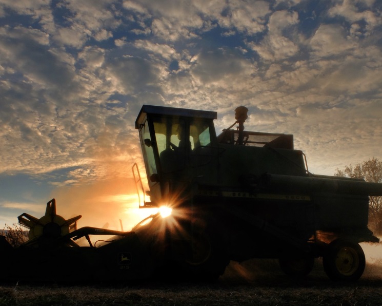 Самое интересное за неделю с 10 по 16 ноября