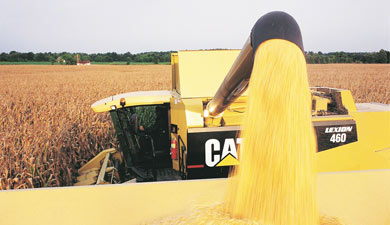 Жатва — 2010: намолочено 43 млн тонн зерна