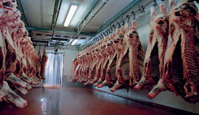 В 2009 г. произведут на 500 тыс. т мяса больше