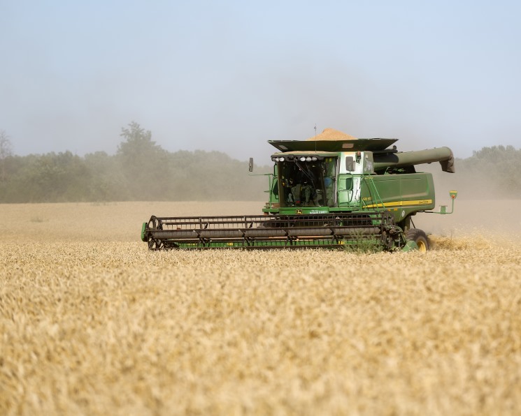 «СовЭкон» повысил прогноз урожая пшеницы