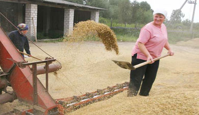 На 22 сентября намолочено 55 млн т зерна