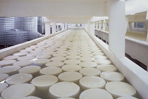 Подмосковье стало лидером по экспорту сыра