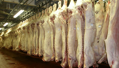 Производство мяса выросло более чем на 12%
