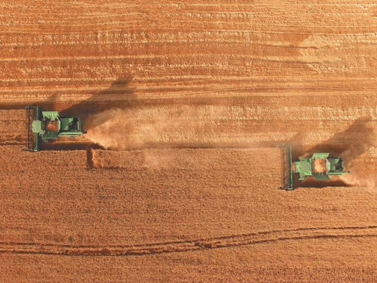 Опять почти рекорд. Российский урожай зерна превысит 130 млн т