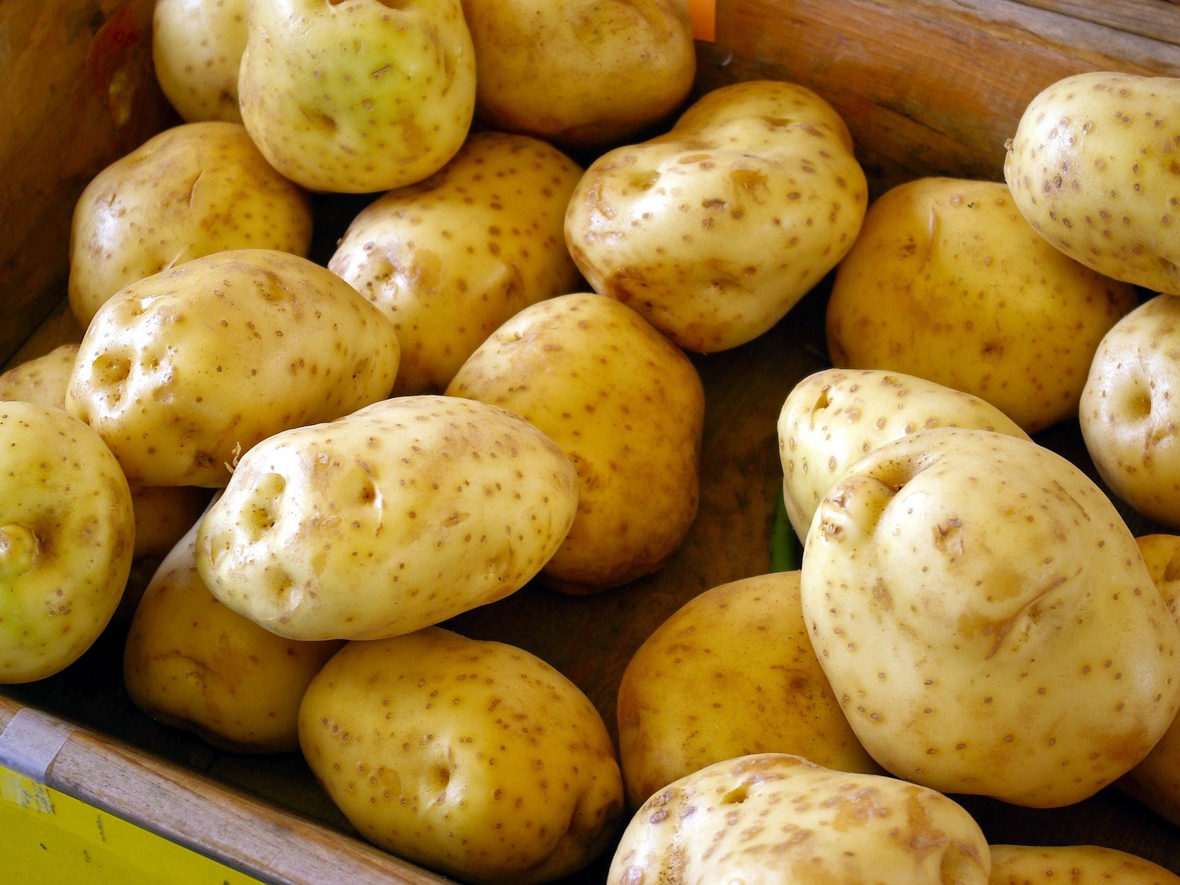 Минсельхоз прогнозирует рост производства овощей и картофеля