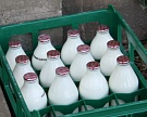 Украинские производители молока не могут продать его в ЕС