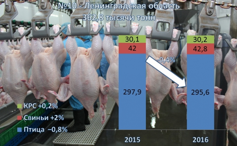 №10 — Ленинградская область