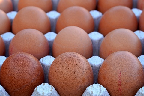 За год себестоимость производства яиц выросла на 18%