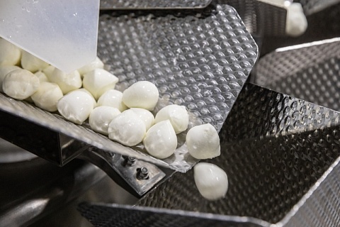 Экспорт молочной продукции превысил $500 млн