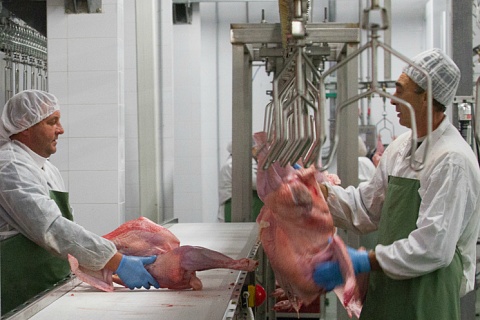 «Рамонская индейка» запустит производство продукции из мяса утки и индейки к концу года
