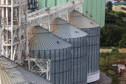 Элеваторы «Деметра Трейдинг» стали региональными лидерами по отгрузкам зерна в 2025 году