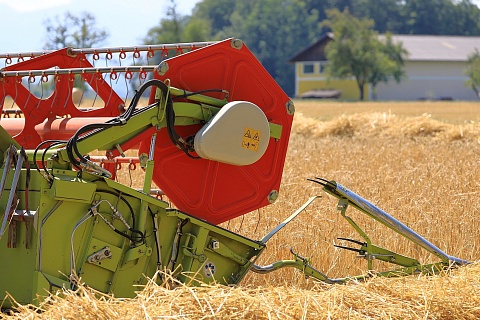 Минсельхоз США прогнозирует рекордный урожай пшеницы в России