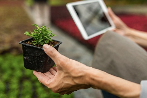 Цифровизация АПК оценивается в 30%