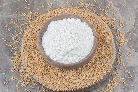 «Щелково Агрохим» начала строить завод по производству амилозного крахмала