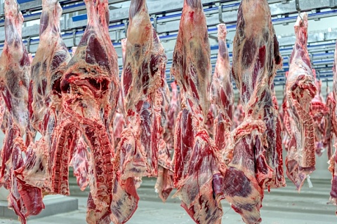 Лидеры снова обогнали рынок. Участники седьмого рейтинга «Агроинвестора» в прошлом году выпустили более 6 млн т мяса