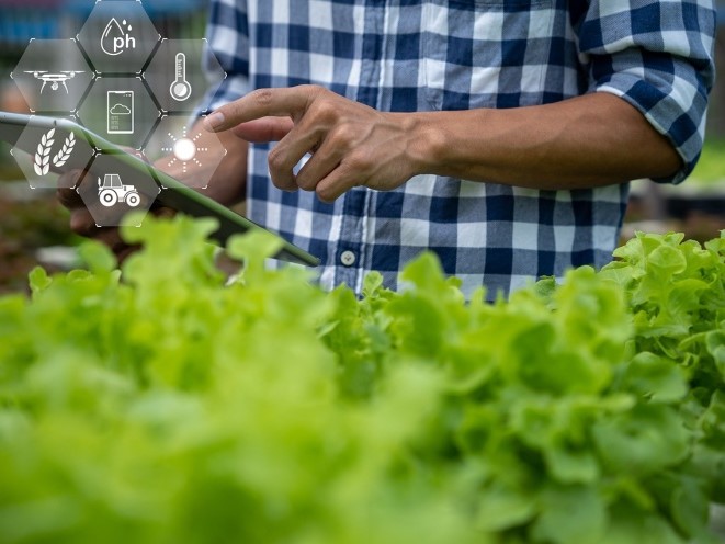 АПК может увеличить прибыль с внедрением искусственного интеллекта