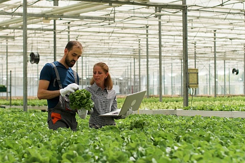 Россельхозбанк и Российская академия наук будут готовить кадры для АПК