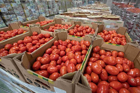 Ритейлеры пожаловались на рост стоимости перевозки сезонных овощей