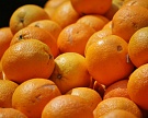 Россельхознадзор запретил поставки овощей и фруктов из Египта