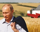 Путин: рост сельского хозяйства неизбежен