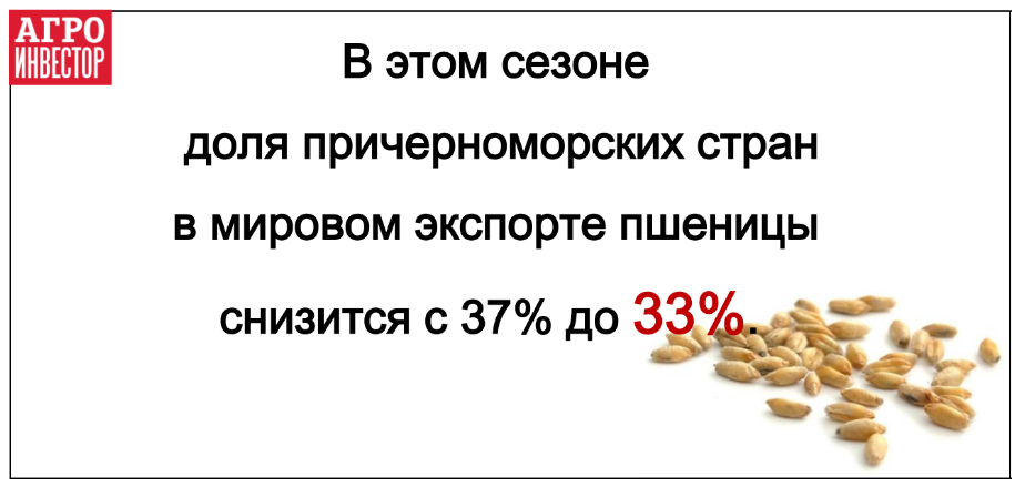 Доля причерноморских стран в мировом экспорте зерна сократится впервые за шесть лет