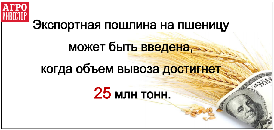 Ограничения могут быть введены при достижении объема вывоза в 25 млн тонн