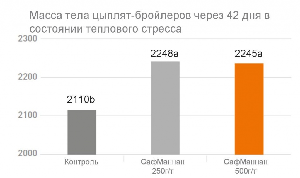 «СафМаннан» обеспечивает более высокий прирост у цыплят-бройлеров