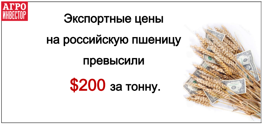 Экспортные цены на пшеницу превысили $200