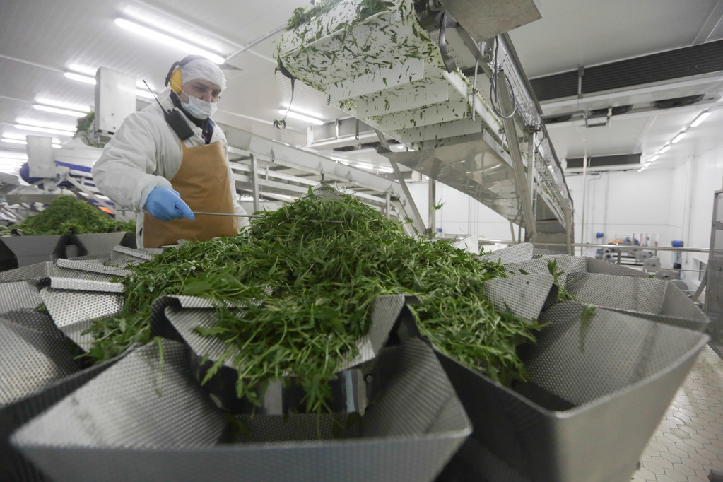 Переработка лекарств. Утилизация фармацевтических отходов. Переработка лекарственных. Утилизация остатков медицинских лекарств и препаратов. Оборудование для сушки трав.