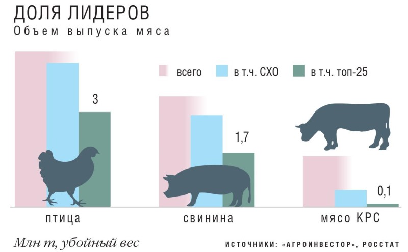 Агроинвестор топ 25 производителей мяса. Крупнейшие производители мяса