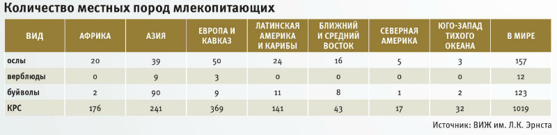 Таблица 1 Количество местных пород млекопитающих