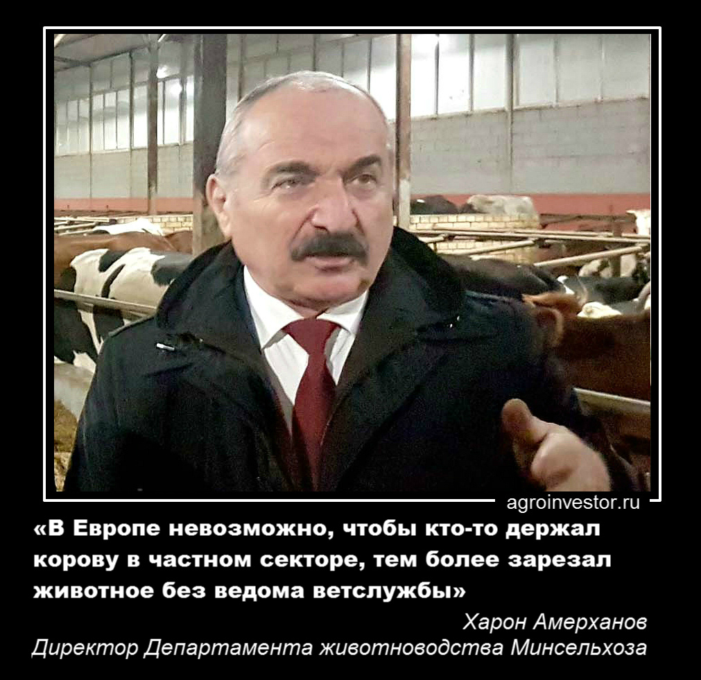 Харон Амерханов: «В Европе невозможно, чтобы кто-то держал корову в частном секторе, тем более зарезал животное без ведома ветслужбы»